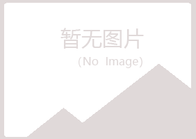 雷波县小夏能源有限公司